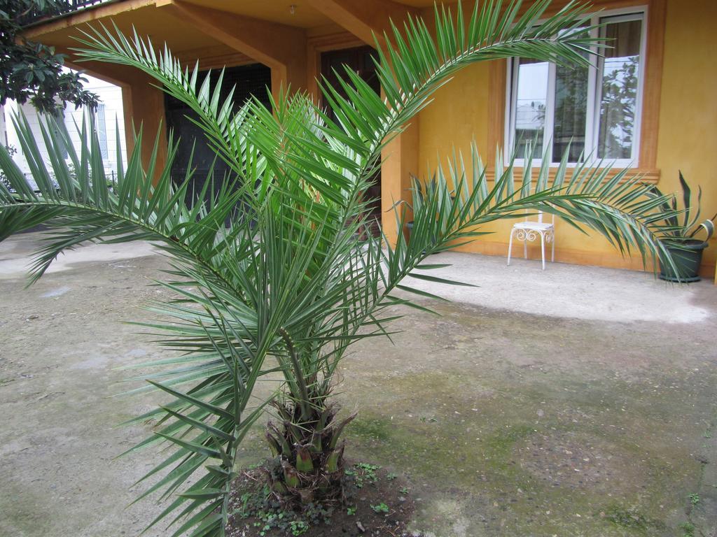 Suliko Guest House Batoumi Extérieur photo